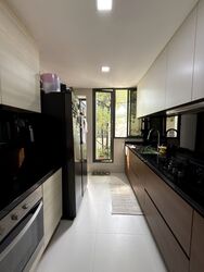The Miltonia Residences (D27), Condominium #540251751